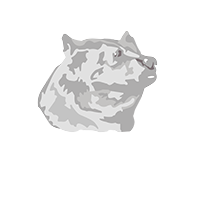 RHF Rough House Logo