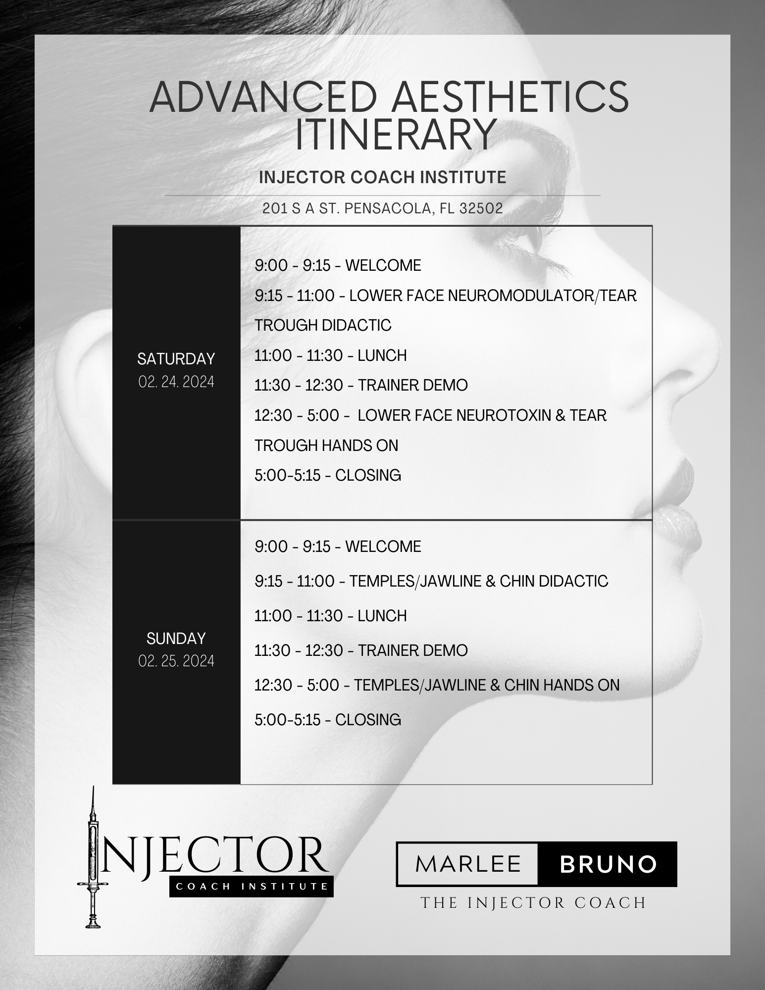 Advanced Aesthetics Itinerary